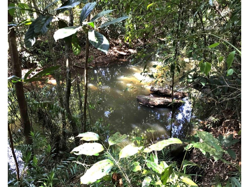 Upper Barron QLD 4883