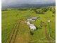 Millaa Millaa QLD 4886