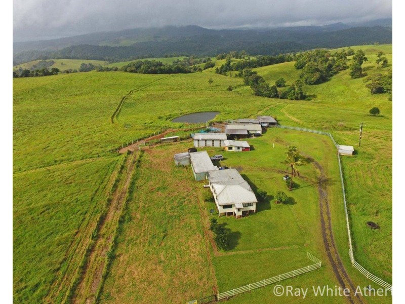 Millaa Millaa QLD 4886