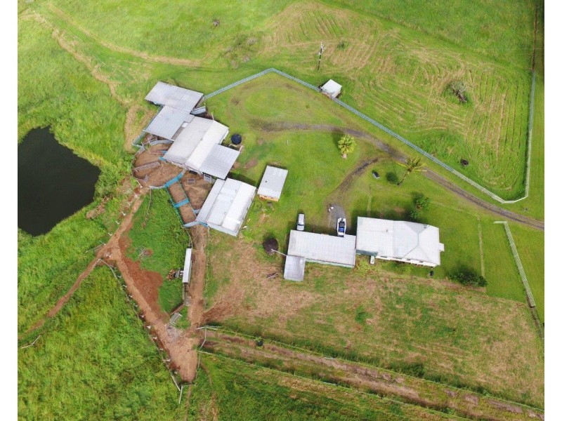 Millaa Millaa QLD 4886