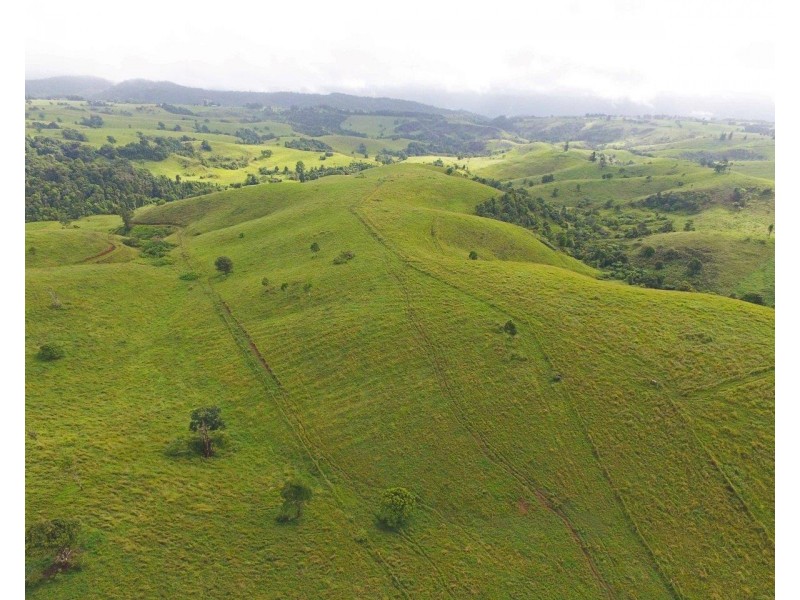 Millaa Millaa QLD 4886