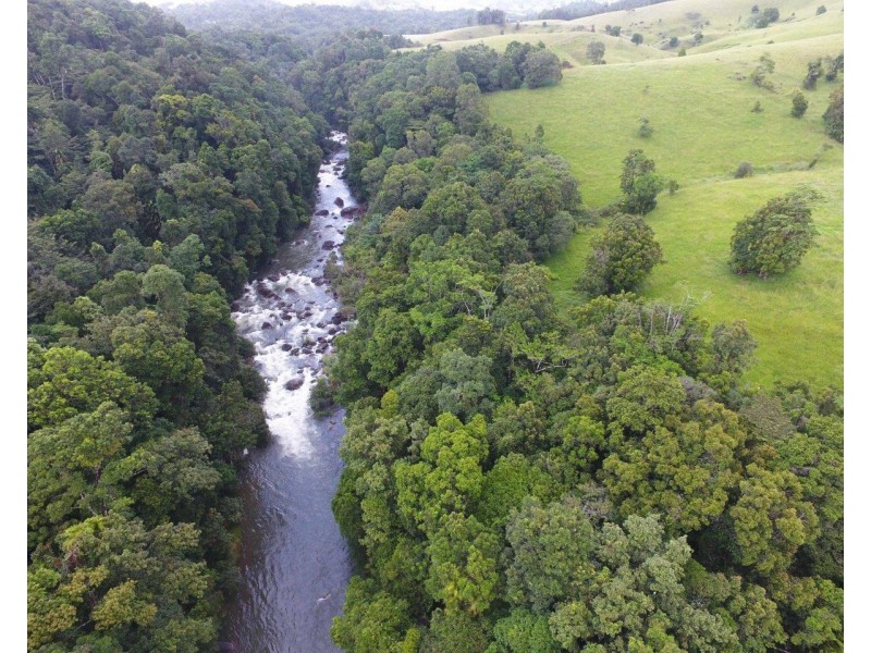 Millaa Millaa QLD 4886