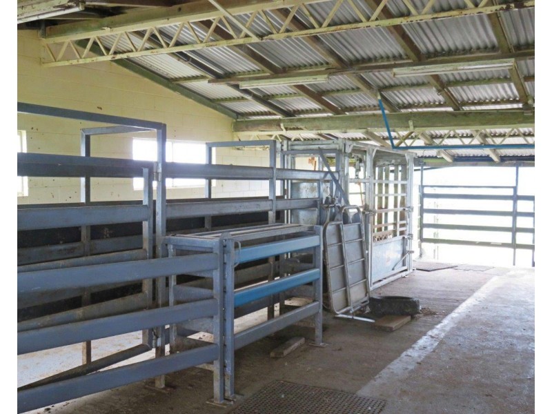 Millaa Millaa QLD 4886