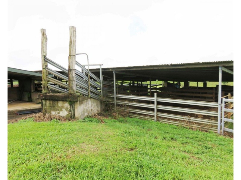 Millaa Millaa QLD 4886