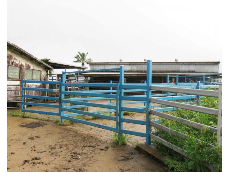 Millaa Millaa QLD 4886