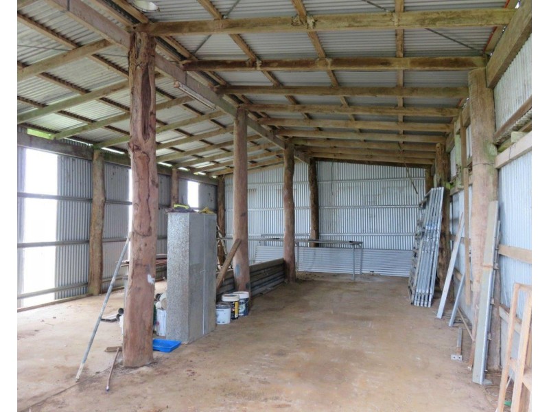 Millaa Millaa QLD 4886