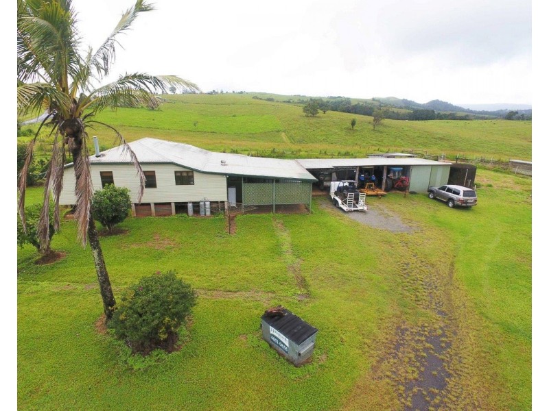 Millaa Millaa QLD 4886