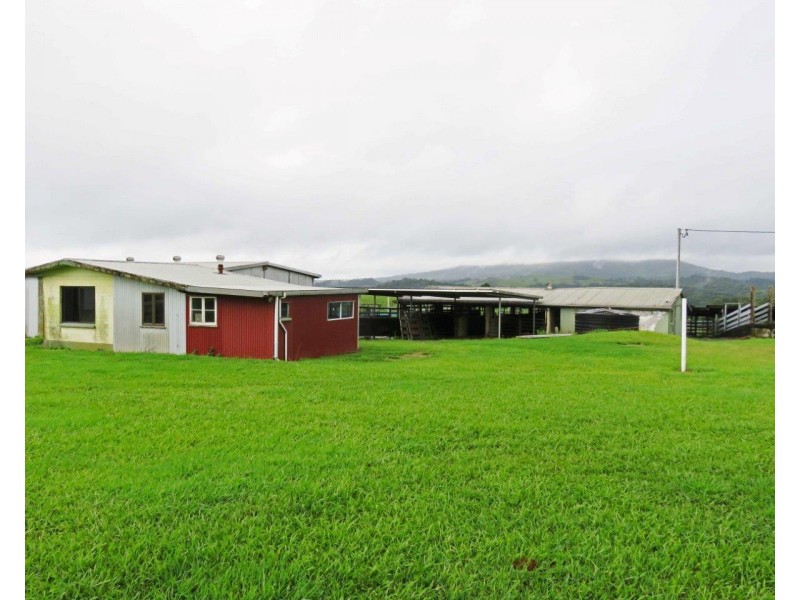 Millaa Millaa QLD 4886