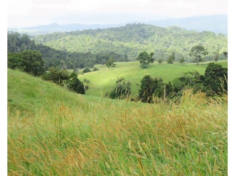 Millaa Millaa QLD 4886