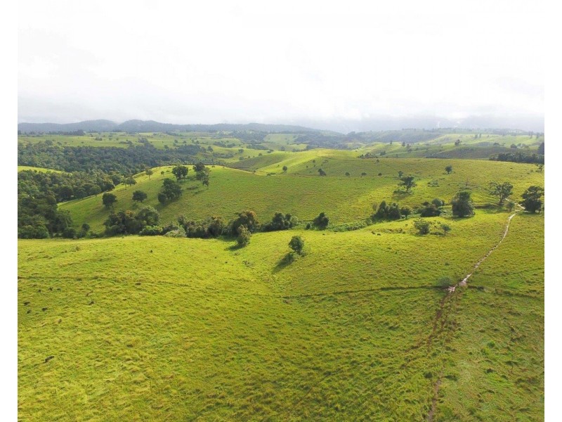 Millaa Millaa QLD 4886