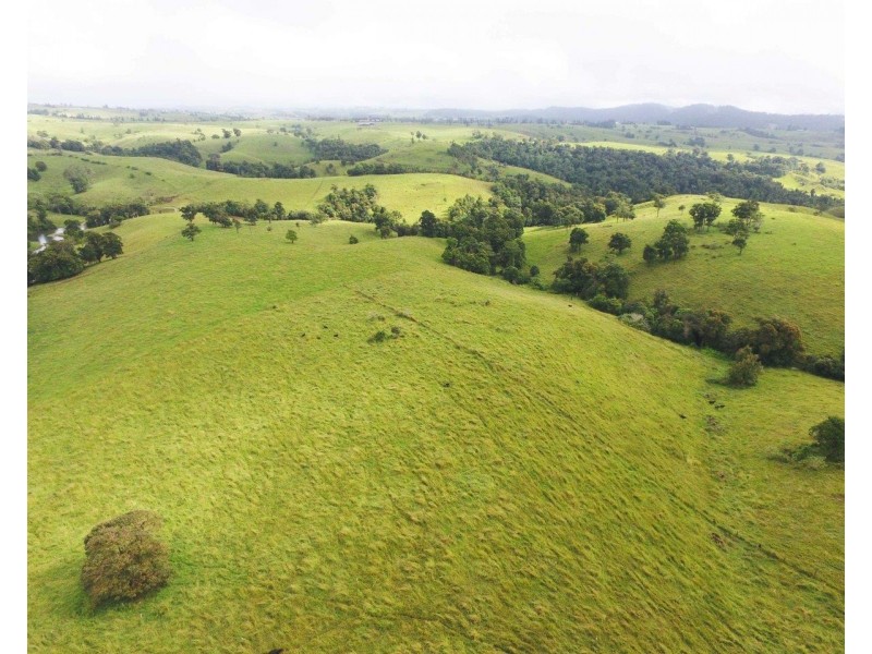 Millaa Millaa QLD 4886