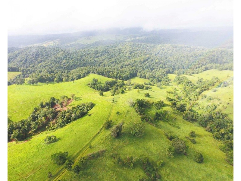 Millaa Millaa QLD 4886