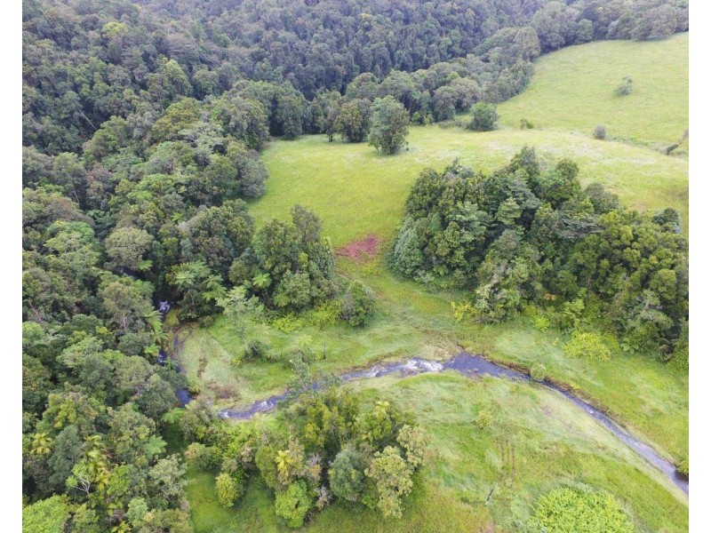 Millaa Millaa QLD 4886
