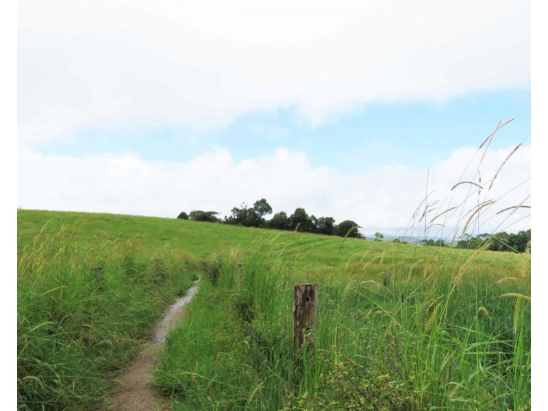 Millaa Millaa QLD 4886