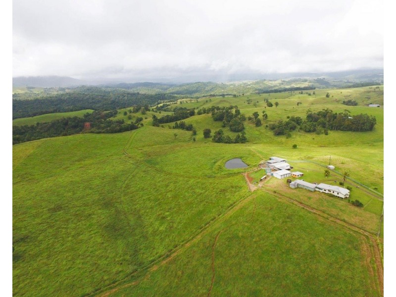 Millaa Millaa QLD 4886