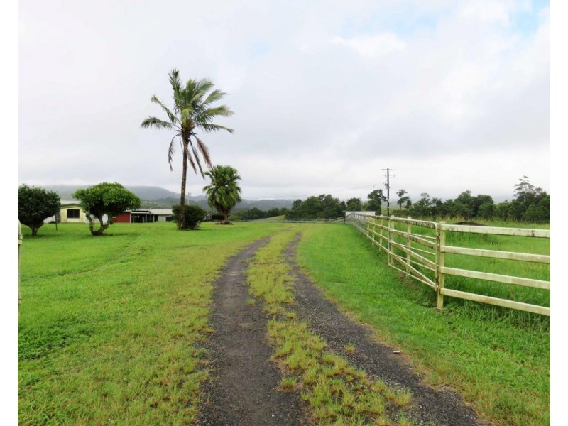 Millaa Millaa QLD 4886
