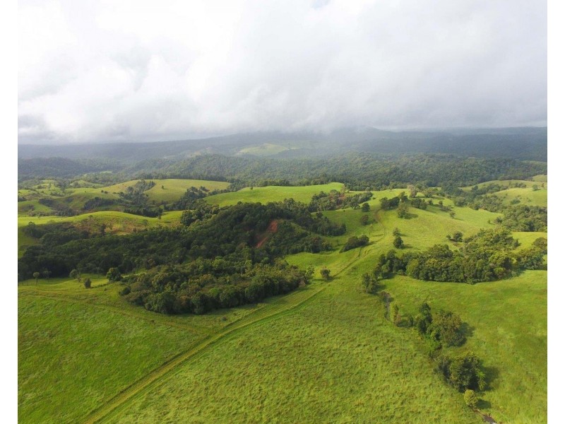 Millaa Millaa QLD 4886