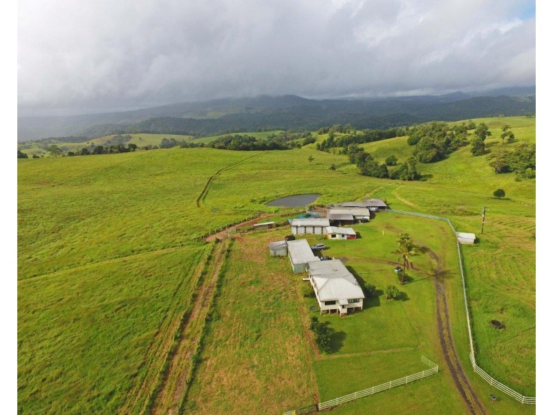 Millaa Millaa QLD 4886