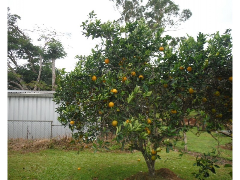 16 Rose Street, Atherton QLD 4883