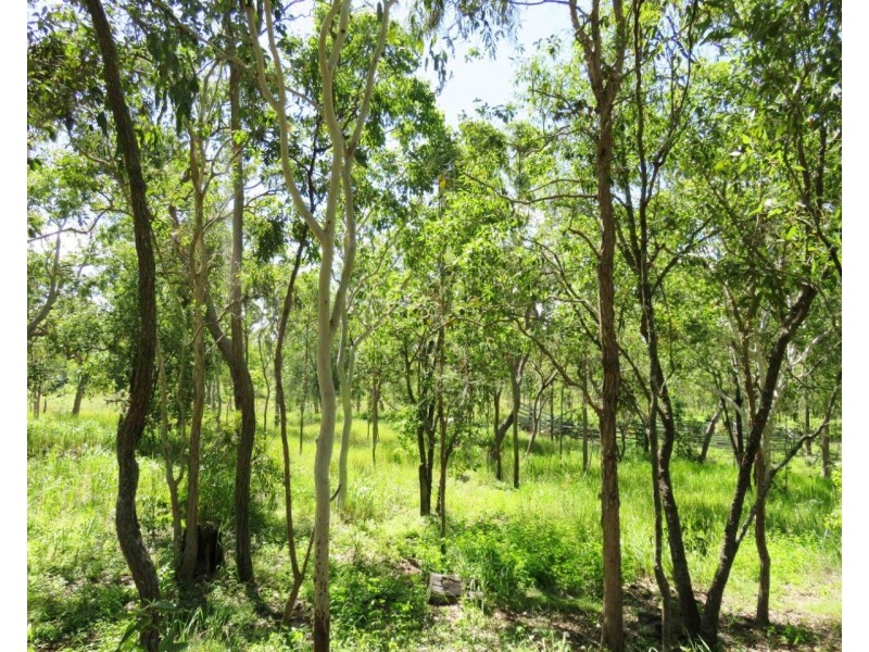 Tolga QLD 4882