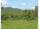 Tolga QLD 4882