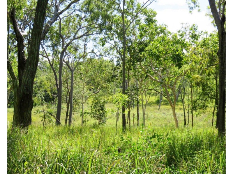 Tolga QLD 4882