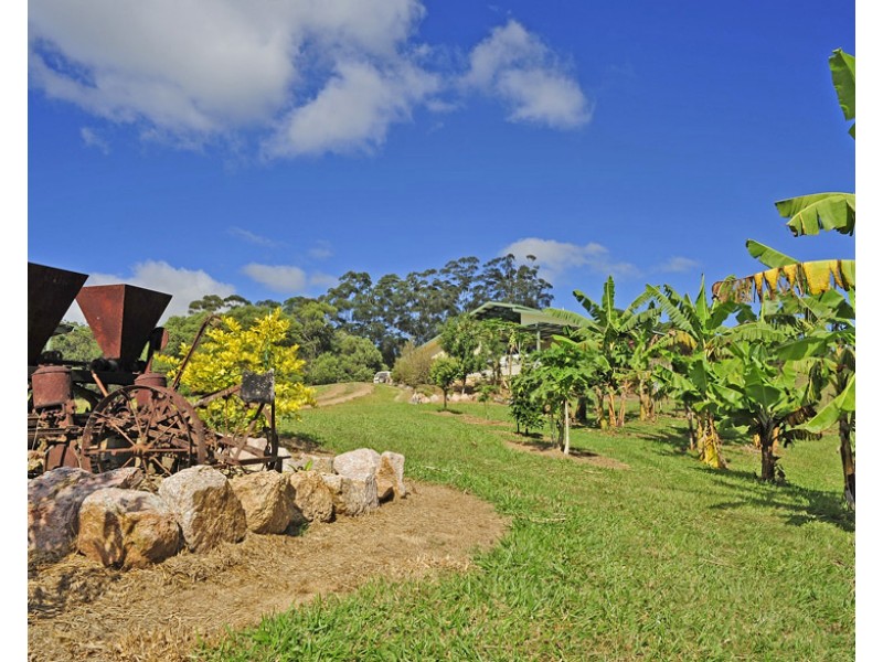 Yungaburra QLD 4884