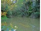 Yungaburra QLD 4884
