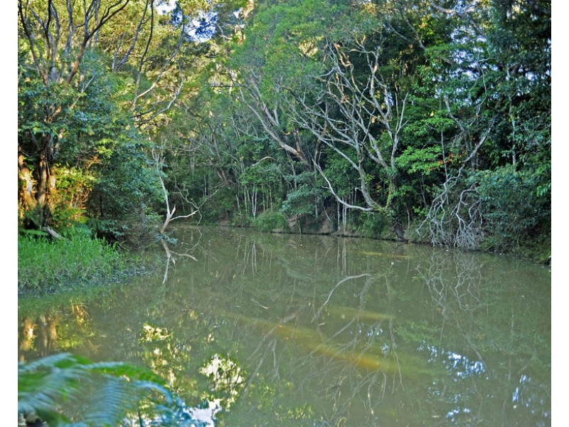 Yungaburra QLD 4884