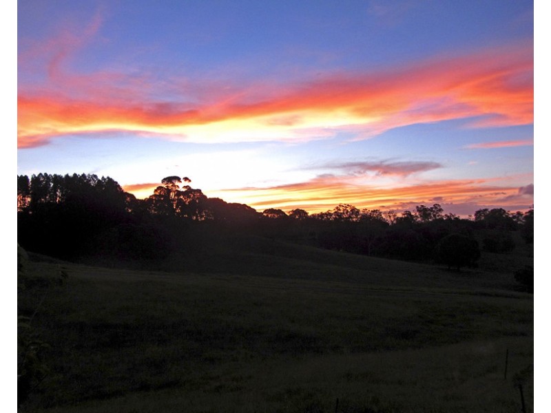 Yungaburra QLD 4884