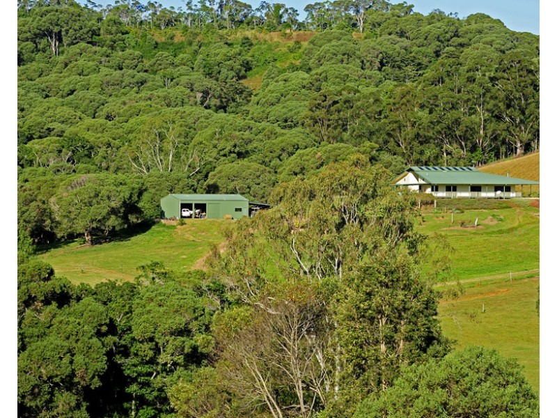 Yungaburra QLD 4884