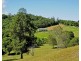 Yungaburra QLD 4884