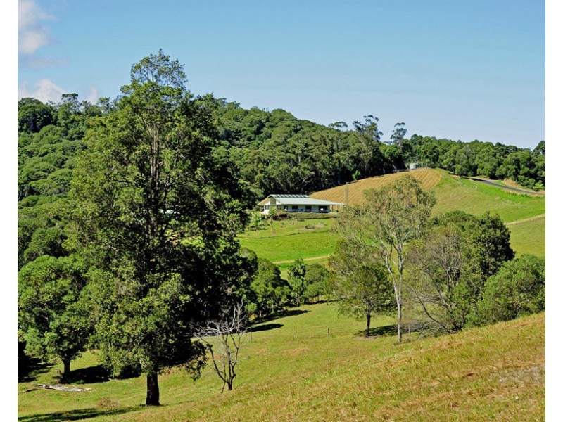 Yungaburra QLD 4884