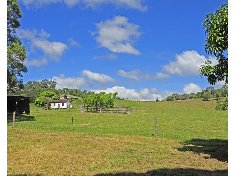 Yungaburra QLD 4884