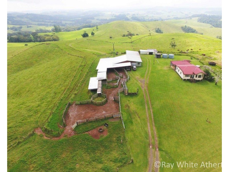 Tarzali QLD 4885