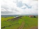 Tarzali QLD 4885
