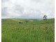 Tarzali QLD 4885