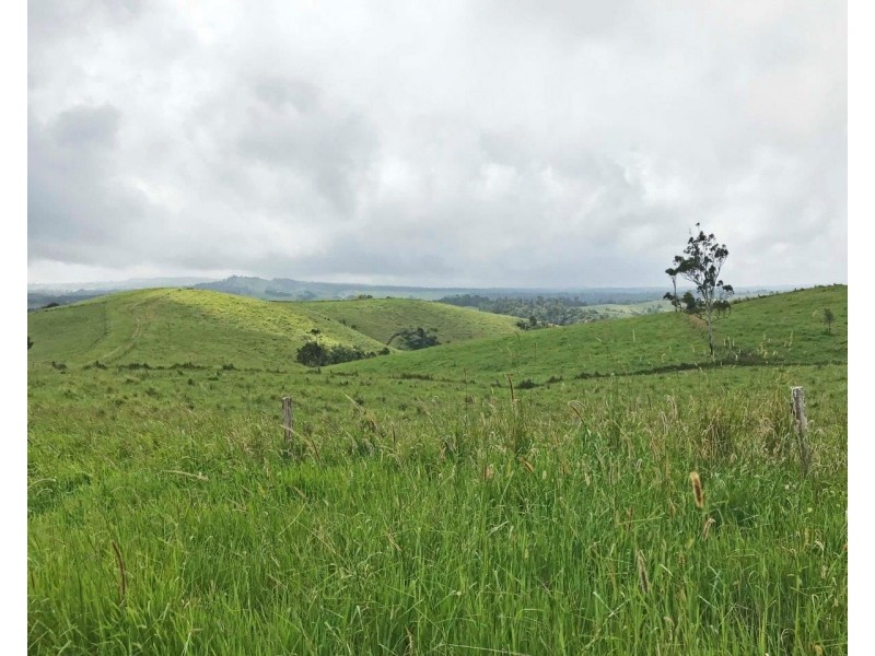 Tarzali QLD 4885