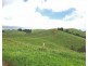 Tarzali QLD 4885