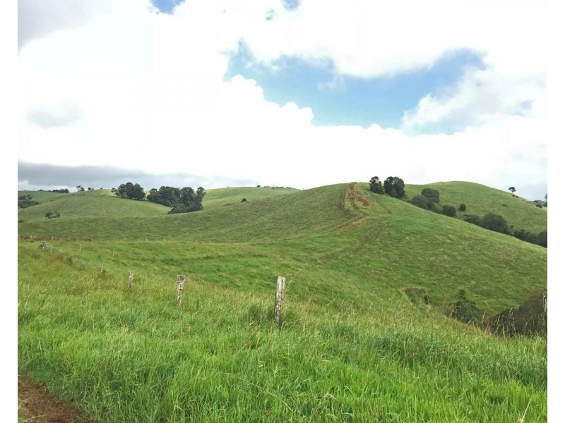 Tarzali QLD 4885