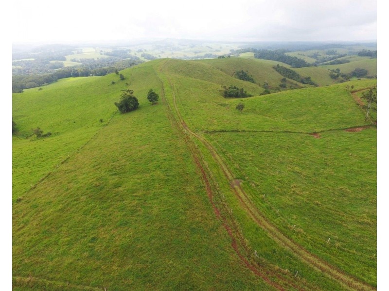 Tarzali QLD 4885