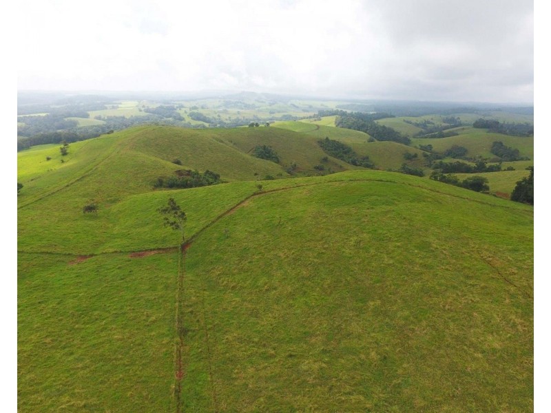 Tarzali QLD 4885