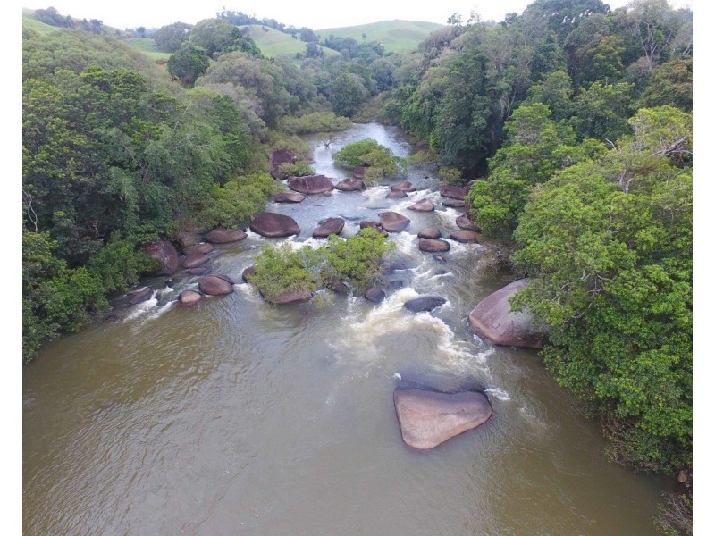 Tarzali QLD 4885