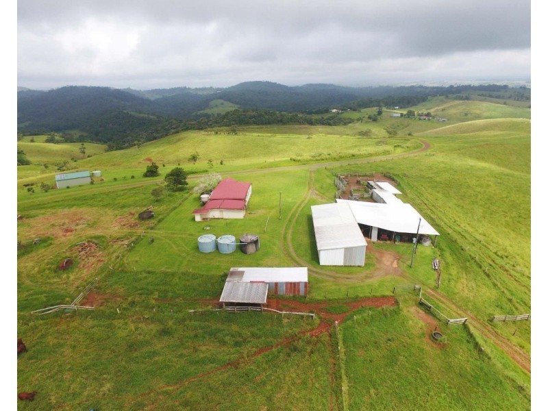 Tarzali QLD 4885