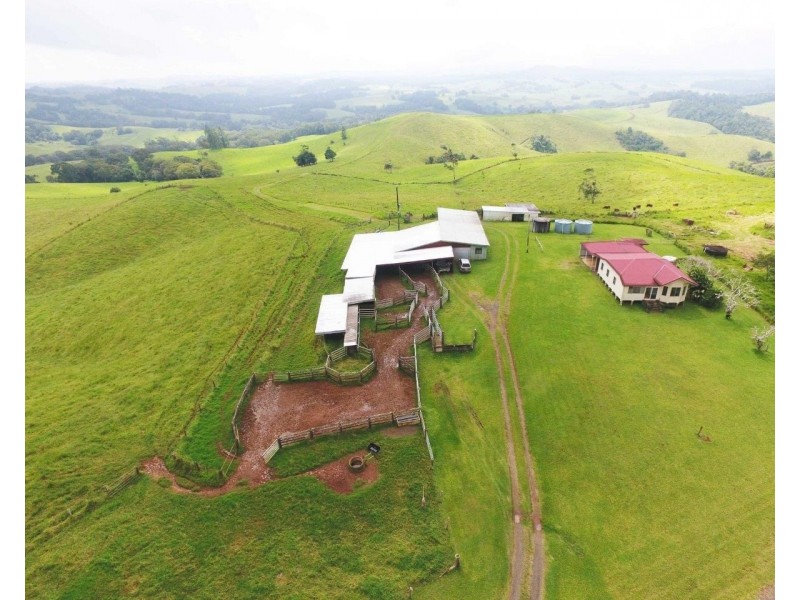 Tarzali QLD 4885