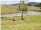 Upper Barron QLD 4883