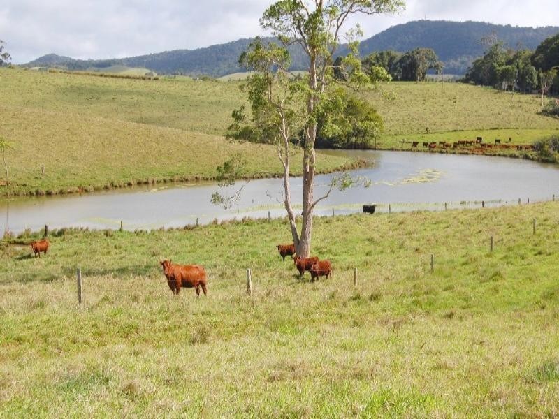 Upper Barron QLD 4883