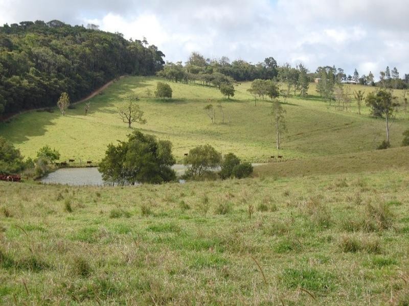 Upper Barron QLD 4883