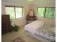 Lake Eacham QLD 4884