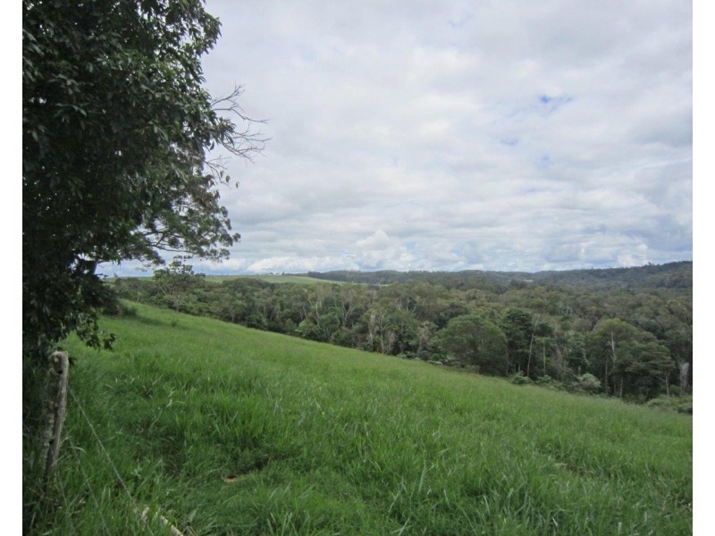 Lake Eacham QLD 4884